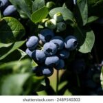 3D开奖200期完整历史号码数据汇总 1asepdu