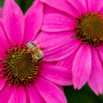 19046期开奖结果震撼揭晓,幸运号码花落谁家? 1cokdfyn