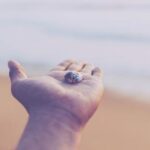 19037期足彩开奖结果揭晓,大奖花落谁家? 2l4acng