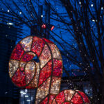 19037期双色球开奖号码公布最新结果 gul5g1