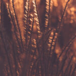 19030期开奖结果最新公布,快来看看你中奖了吗? ro04vr9