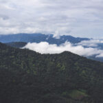 19026期开奖结果正式公布,大奖花落谁家引关注 sj4rl2v