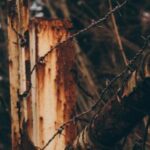 19051期开奖结果震撼揭晓,大奖花落谁家引关注 uz5800g