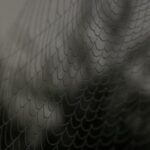 3d开奖2025072期今晚几点开奖时间公布 veysdmfm