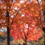 3d开奖2025104期最新开奖号码结果查询 vka6t