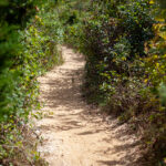 19033期开奖结果最新公布,惊喜大奖花落谁家? wcg813