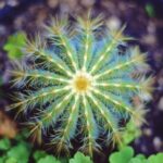 19047期足彩开奖结果揭晓,大奖花落谁家? z72et8yw